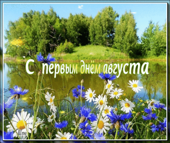 Летняя анимация с цветами у озера и надписью "С первым днём Августа!". Летняя анимация с цветами у озера и надписью "С первым днём Августа!".