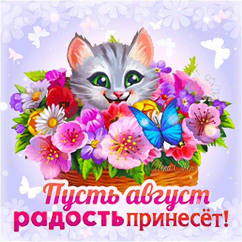 Летний прикольный гиф стикер с котёнком в цветах "Пусть август радость принесёт!". Летний прикольный гиф стикер с котёнком в цветах "Пусть август радость принесёт!".