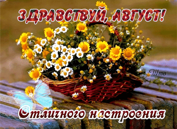 Летняя анимация здравствуй, Август! Отличного настроения. Летняя анимация здравствуй, Август! Отличного настроения.