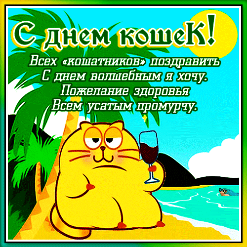 Летняя прикольная гифка с днём кошек с пожеланиями.