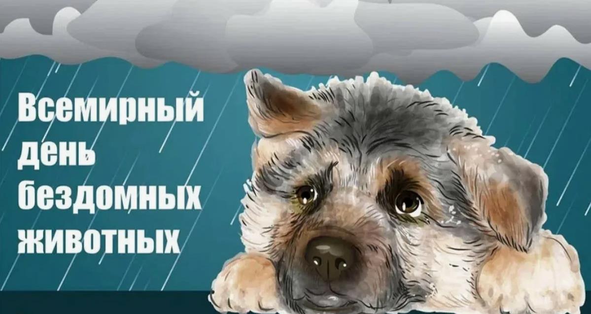 Трогательная открытка с собакой на всемирный день бездомных животных с собакой. Трогательная открытка с собакой на всемирный день бездомных животных с собакой.
