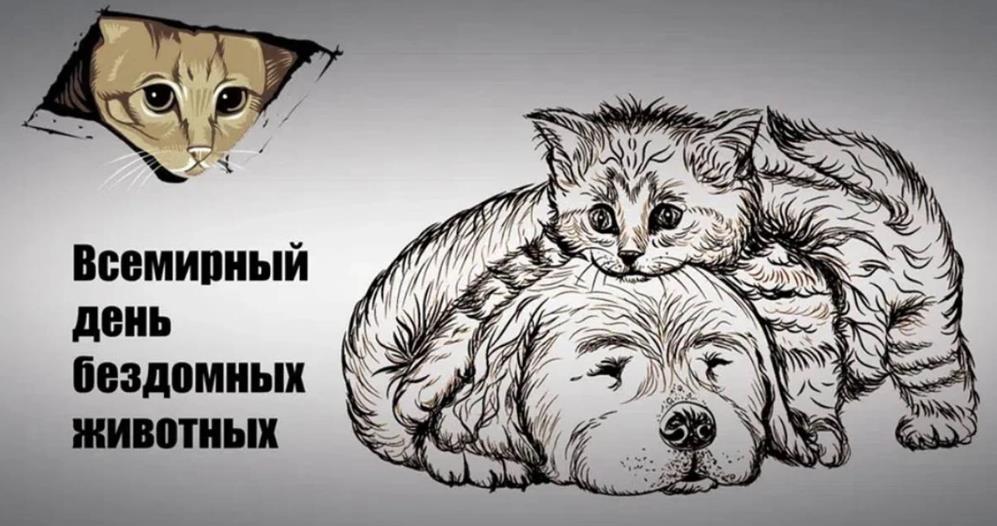 Картинка с котятами с всемирным днём бездомных животных. Картинка с котятами с всемирным днём бездомных животных.