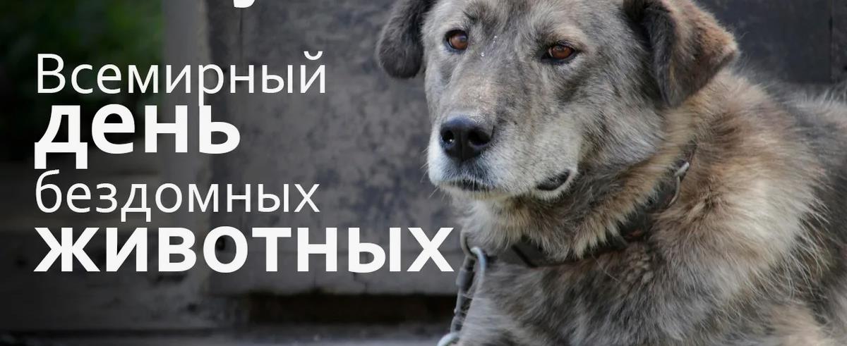 День бездомных животных отмечают в третью субботу последнего месяца лета. День бездомных животных отмечают в третью субботу последнего месяца лета.