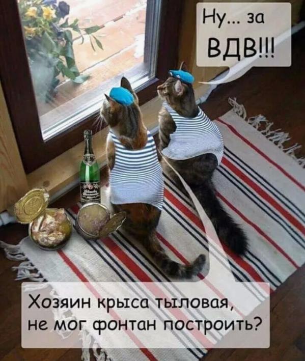Смешные картинки с днём ВДВ с котами десантниками в тельняшках.