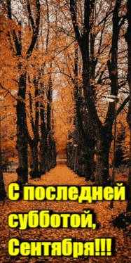 Гиф с листопадом в последнюю субботу Сентября - в 2024 году 28 числа. Гиф с листопадом в последнюю субботу Сентября - в 2024 году 28 числа.