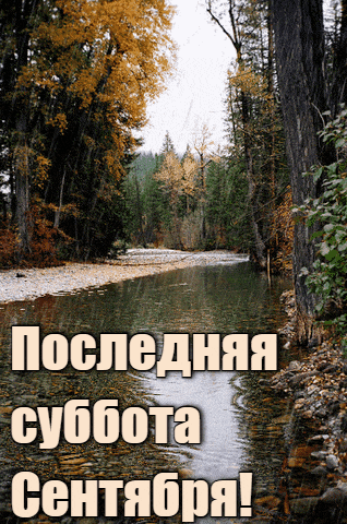 Гифка с дождливым осенним утром в лесу, в последнюю субботу Сентября. Гифка с дождливым осенним утром в лесу, в последнюю субботу Сентября.