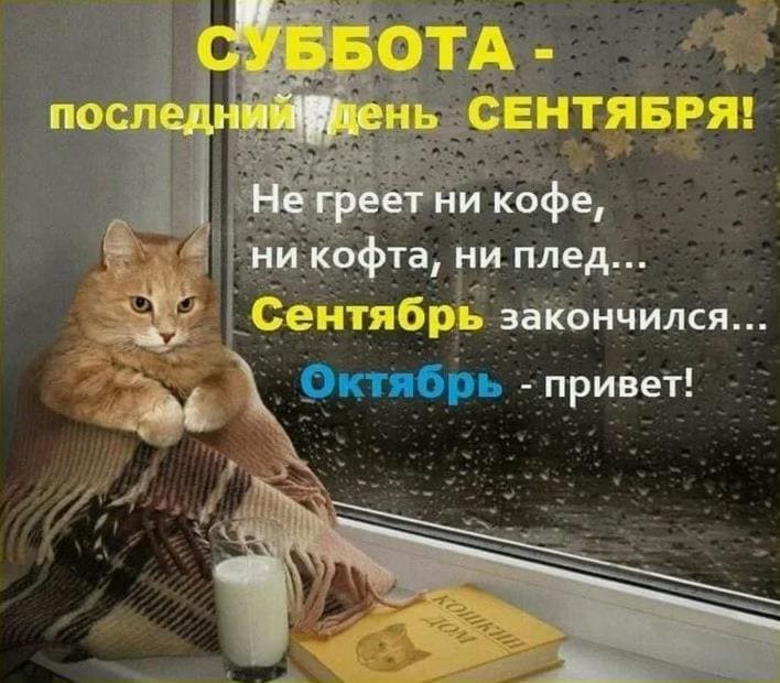 Смешная картинка - мем "Суббота - последний день Сентября! Не греет ни кофе, ни кофта, ни плед... Сентябрь закончился, Октябрь привет!". Смешная картинка - мем "Суббота - последний день Сентября! Не греет ни кофе, ни кофта, ни плед... Сентябрь закончился, Октябрь привет!".