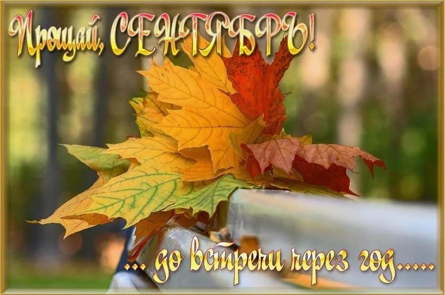 Прощай, сентябрь! До встречи через год. Прощай, сентябрь! До встречи через год.
