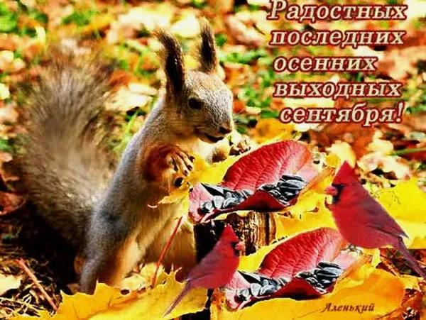 Смешная открытка с белочкой и пожеланием последних радостных осенних выходных сентября. Смешная открытка с белочкой и пожеланием последних радостных осенних выходных сентября.