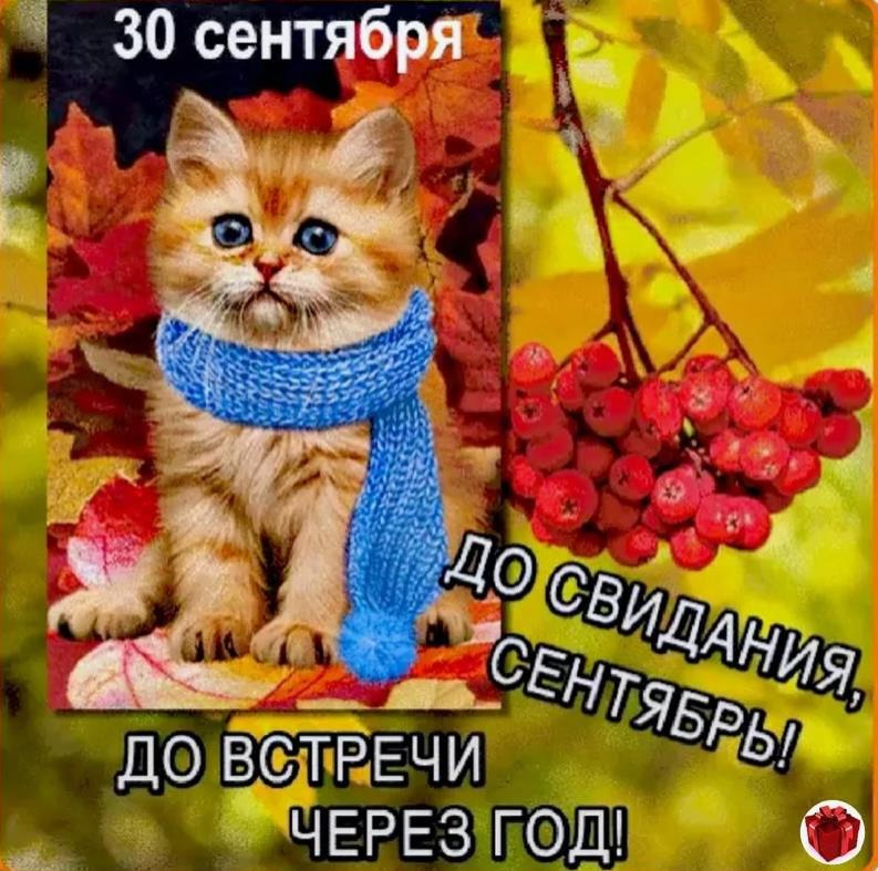 Смешная картинка с котёнком и надписью "До свидания Сентябрь! До встречи через год!". Смешная картинка с котёнком и надписью "До свидания Сентябрь! До встречи через год!".