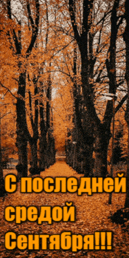 Грустная гифка с листопадом 25.09.2024 последняя среда первого осеннего месяца Сентября.