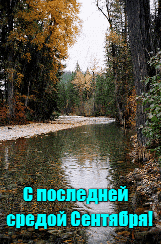 Дождливая анимация к последней среде в первый осенний месяц.