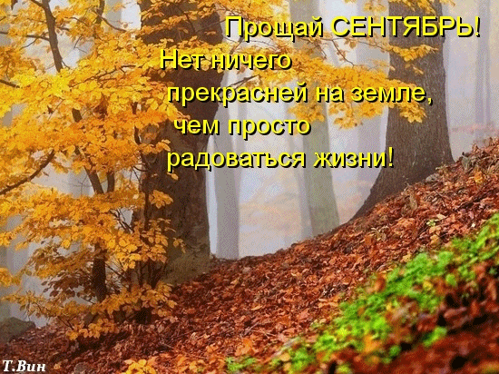 Грустная анимация с фотографиями осеннего леса, прощай сентябрь. Грустная анимация с фотографиями осеннего леса, прощай сентябрь.