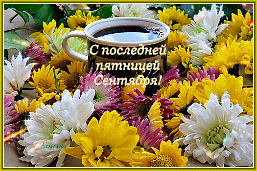 Красивая осенняя гифка с цветами хризантем для девушек с последней пятницей Сентября. Красивая осенняя гифка с цветами хризантем для девушек с последней пятницей Сентября.