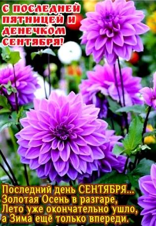 Красивая открытка с цветами и пожеланиями с последней пятницей Сентября, когда он совпадает и с последним днём месяца. Красивая открытка с цветами и пожеланиями с последней пятницей Сентября, когда он совпадает и с последним днём месяца.