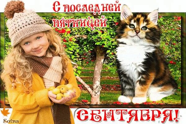 Смешная открытка для детей с котёнком для поздравления с последней пятницей сентября. Смешная открытка для детей с котёнком для поздравления с последней пятницей сентября.