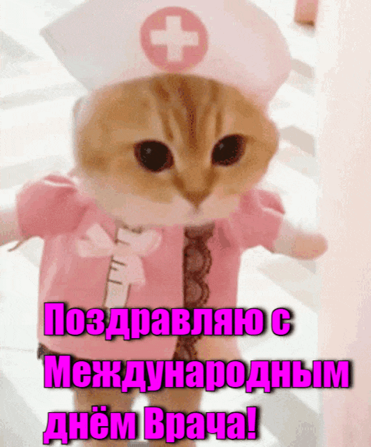 Милая анимация с кошечкой в униформе медсестры на международный праздник врачей в первый понедельник Октября.