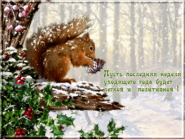 Зимняя гифка с белочкой пусть последняя неделя уходящего года будет лёгкой и позитивной.