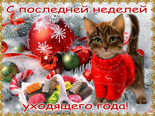 Смешная зимняя гифка с ктом и поздравлением с последней неделей уходящего года.