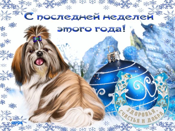 Прикольная картинка с 52-ой финальной неделей года.