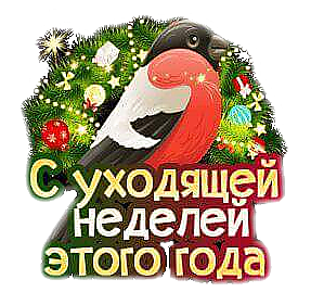 Стикер со снегирём с уходящей неделей этого года на прозрачном фоне.