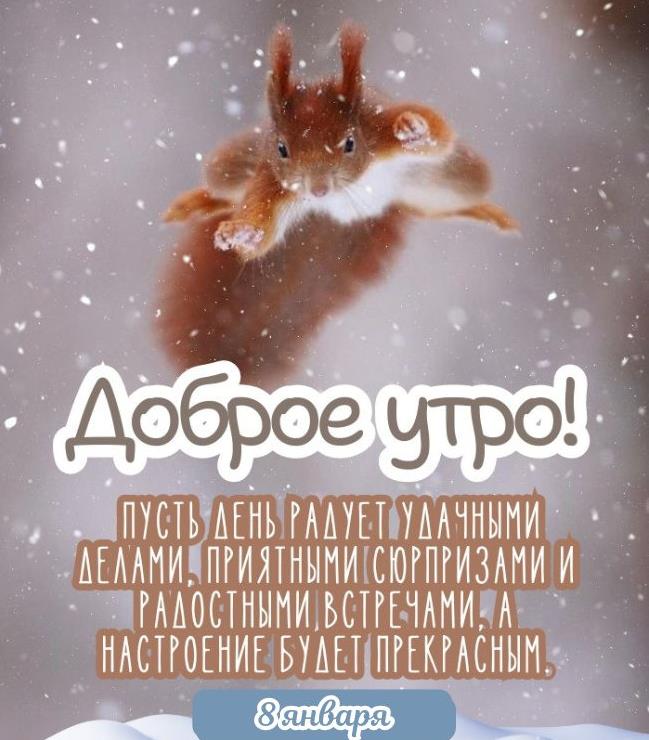Смешная картинка с белкой летягой для пожелания доброго утра 8 января и пусть день будет хорошим.