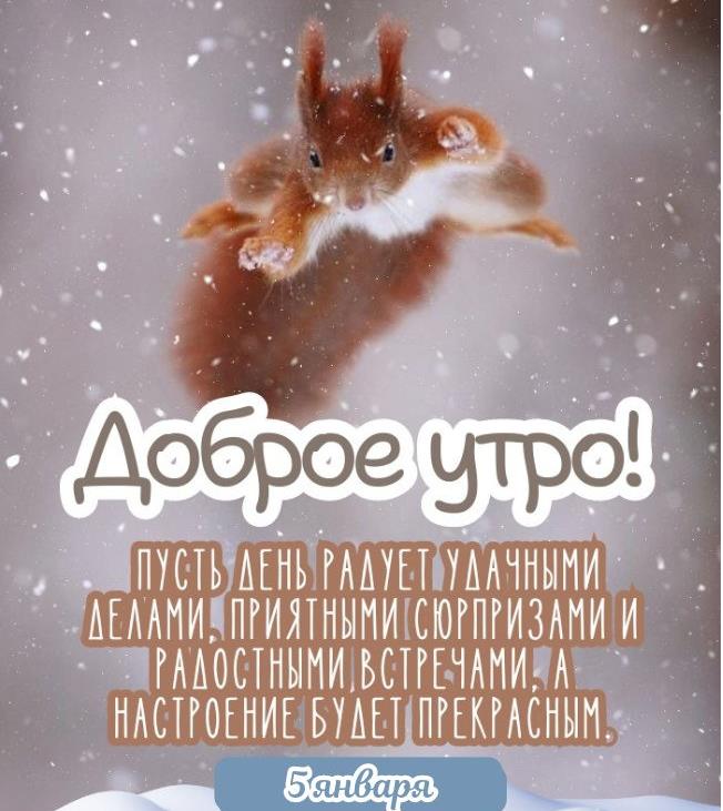 Смешная картинка с белочкой для пожелания отличного настроения утром 5 Января! А день будет прекрасным! Смешная картинка с белочкой для пожелания отличного настроения утром 5 Января! А день будет прекрасным!