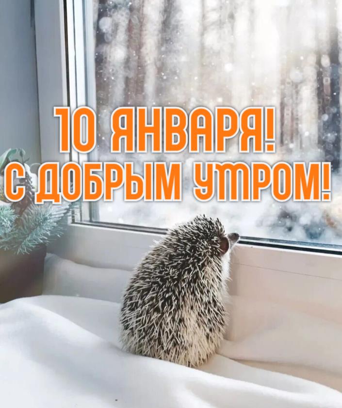 Красивые картинки с добрым зимним утром 10-го Января. Красивые картинки с добрым зимним утром 10-го Января.