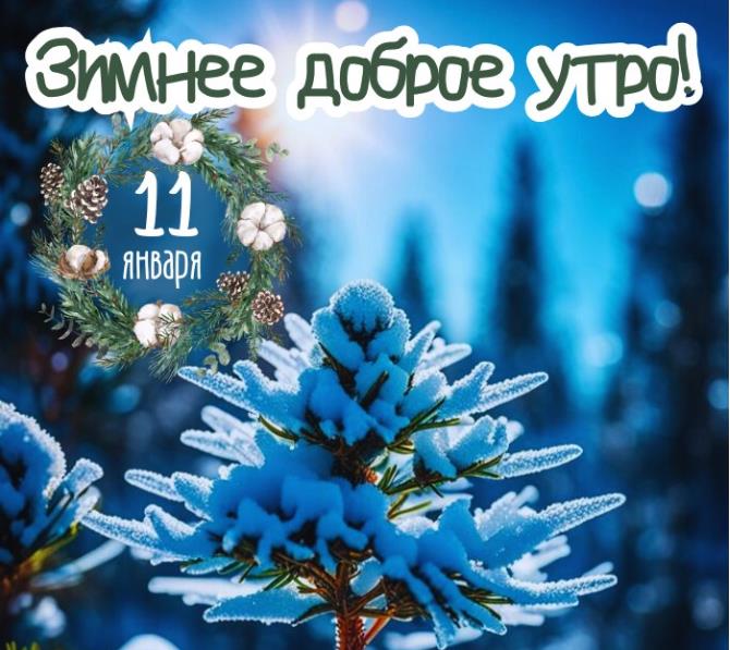 Красивые открытка с пожеланием доброго зимнего утра одиннадцатого января.