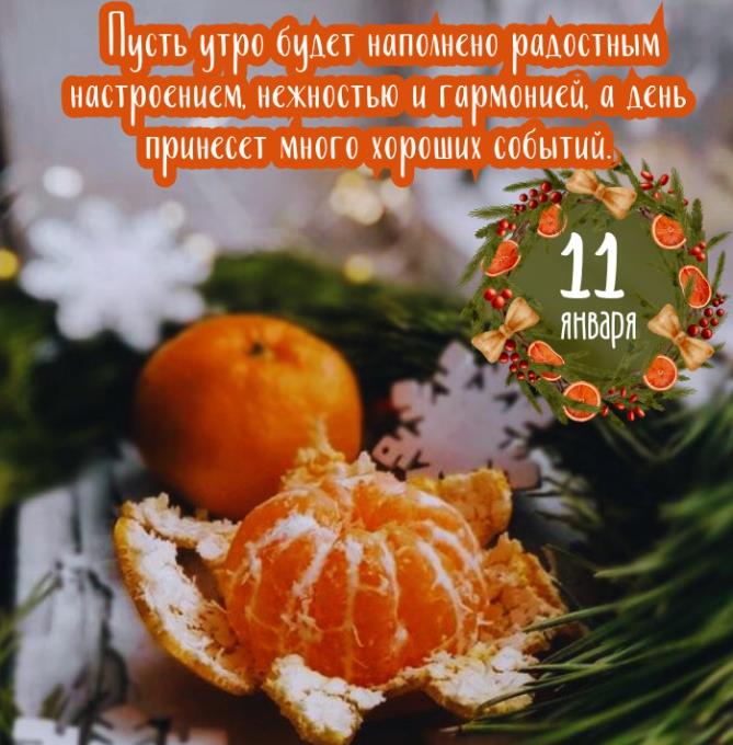 Мандариновая картинка пусть утро 11 января будет наполнено радостным настроением, нежностью и гармонией, а день будет хорошим.