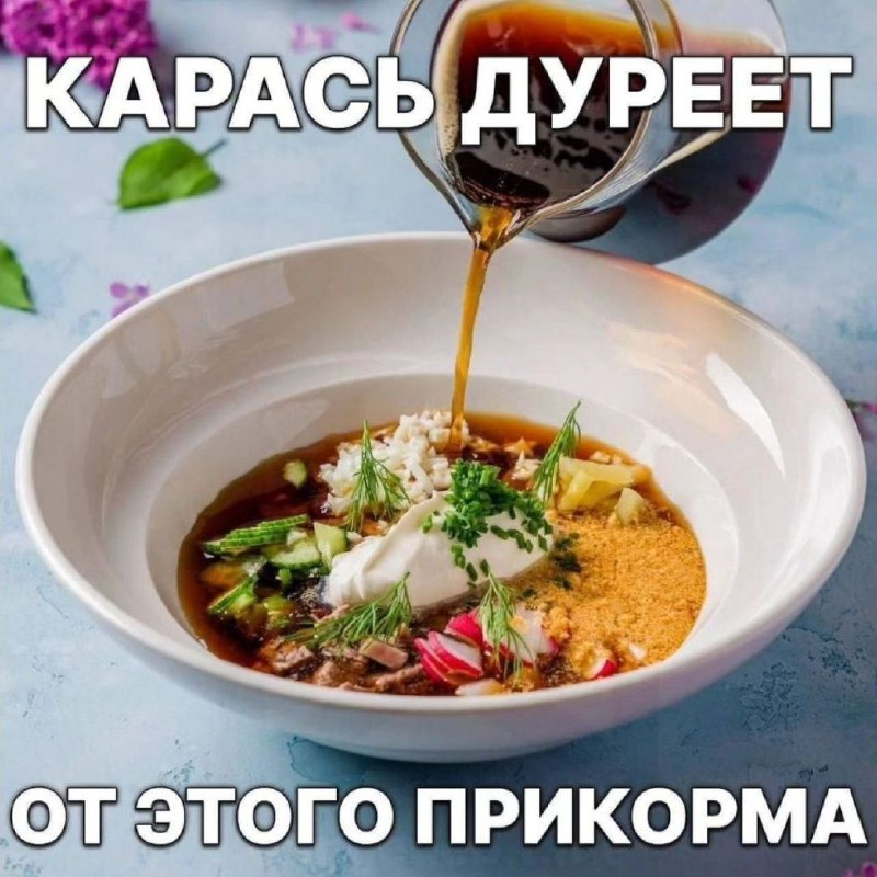 Мем "Карась дуреет с этой прикормки". Мем "Карась дуреет с этой прикормки".