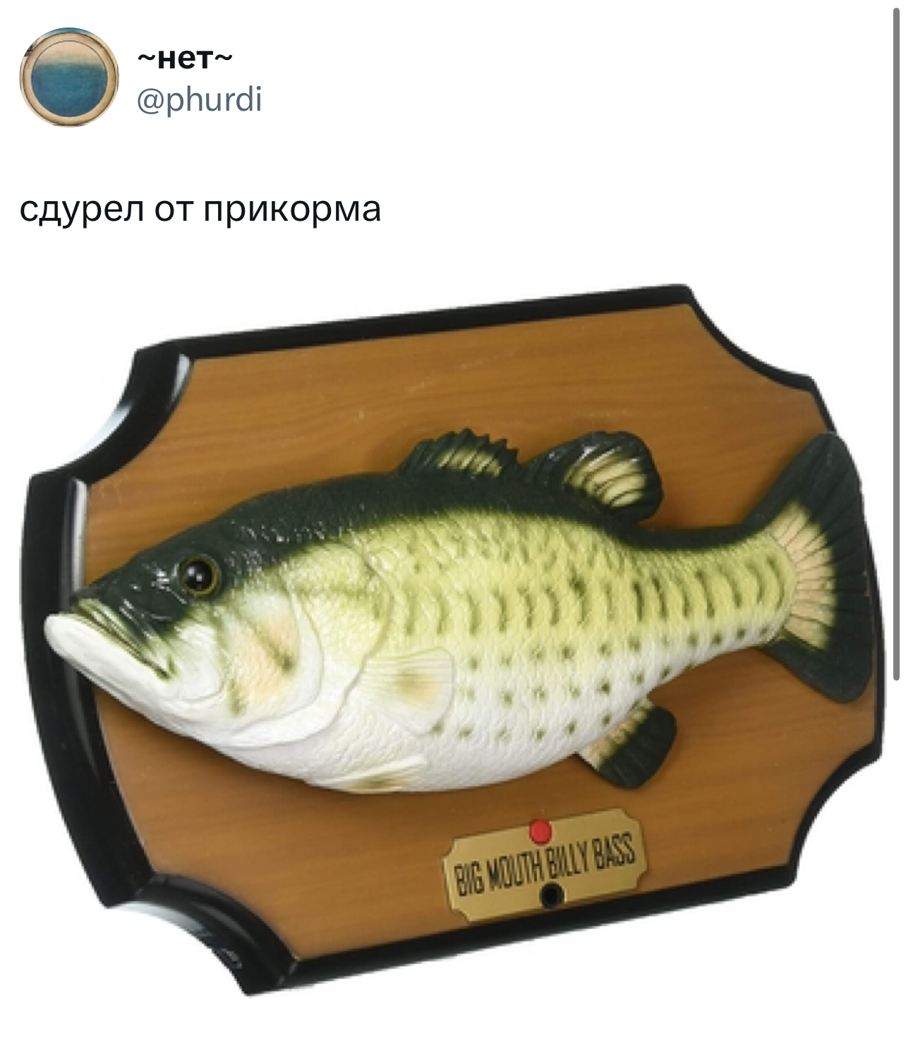 Карась сдурел от прикорма. Карась сдурел от прикорма.