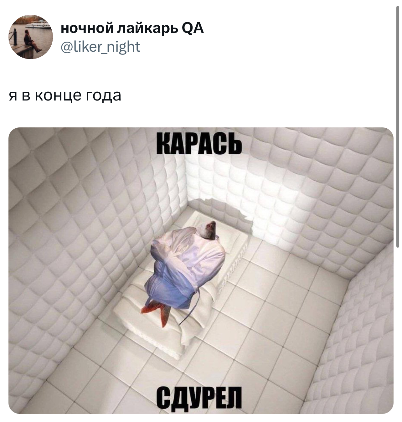 Я в конце года, карась сдурел. Я в конце года, карась сдурел.
