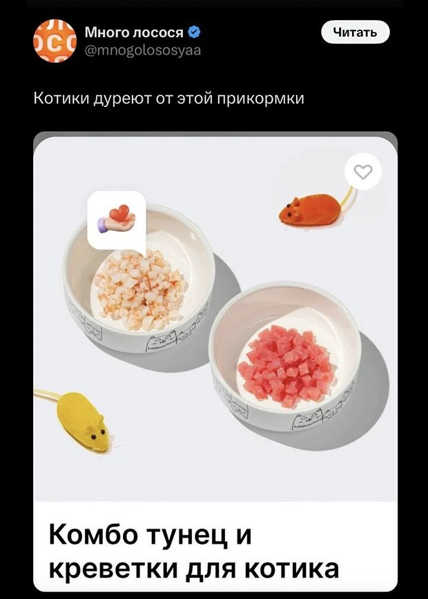 Прикол котики дуреют от этой прикормки. Прикол котики дуреют от этой прикормки.