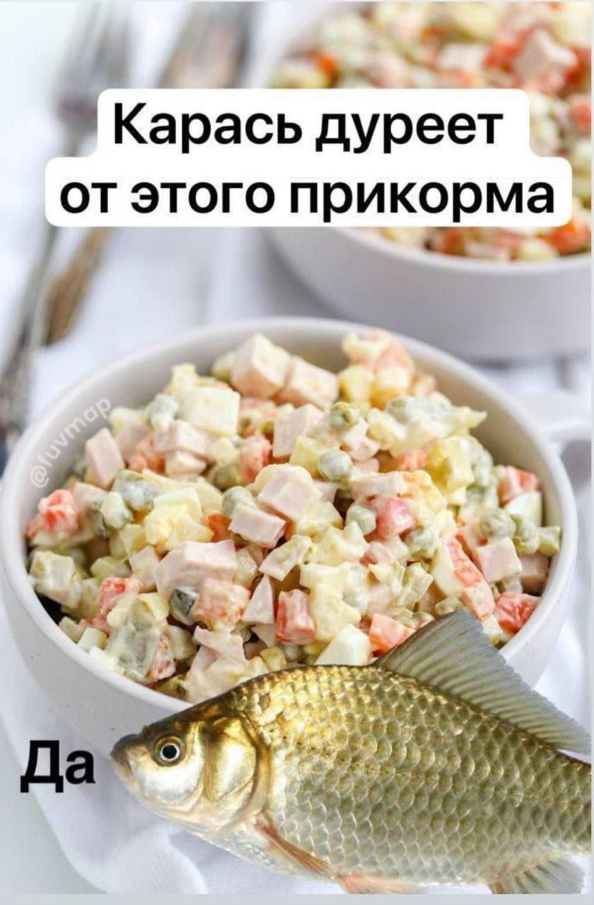 Мем карась дуреет с этой прикормки. Мем карась дуреет с этой прикормки.