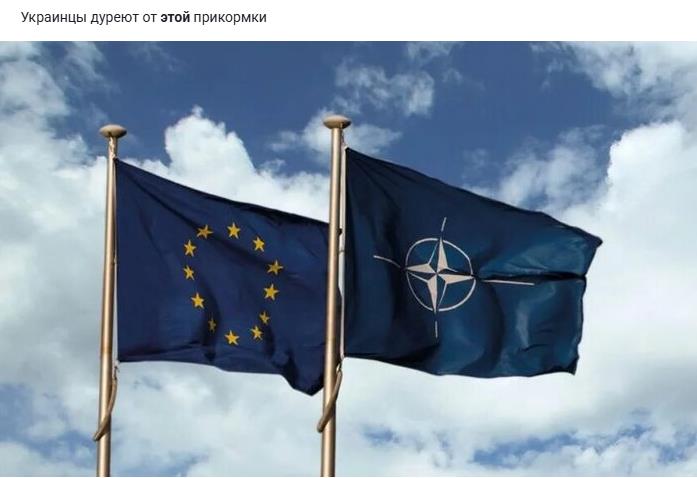 Флаги НАТО и ЕС - Украинцы дуреют от этой прикормки. Флаги НАТО и ЕС - Украинцы дуреют от этой прикормки.