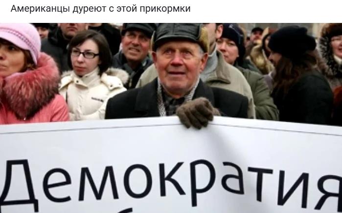Американцы сходят с ума от такого корма. Американцы сходят с ума от такого корма.