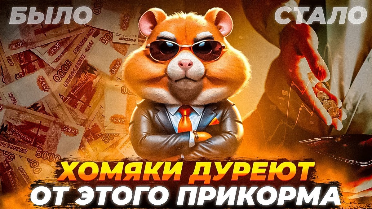 Современный тренд от чего дуреют Хомяки. Современный тренд от чего дуреют Хомяки.Современный тренд от чего дуреют Хомяки.