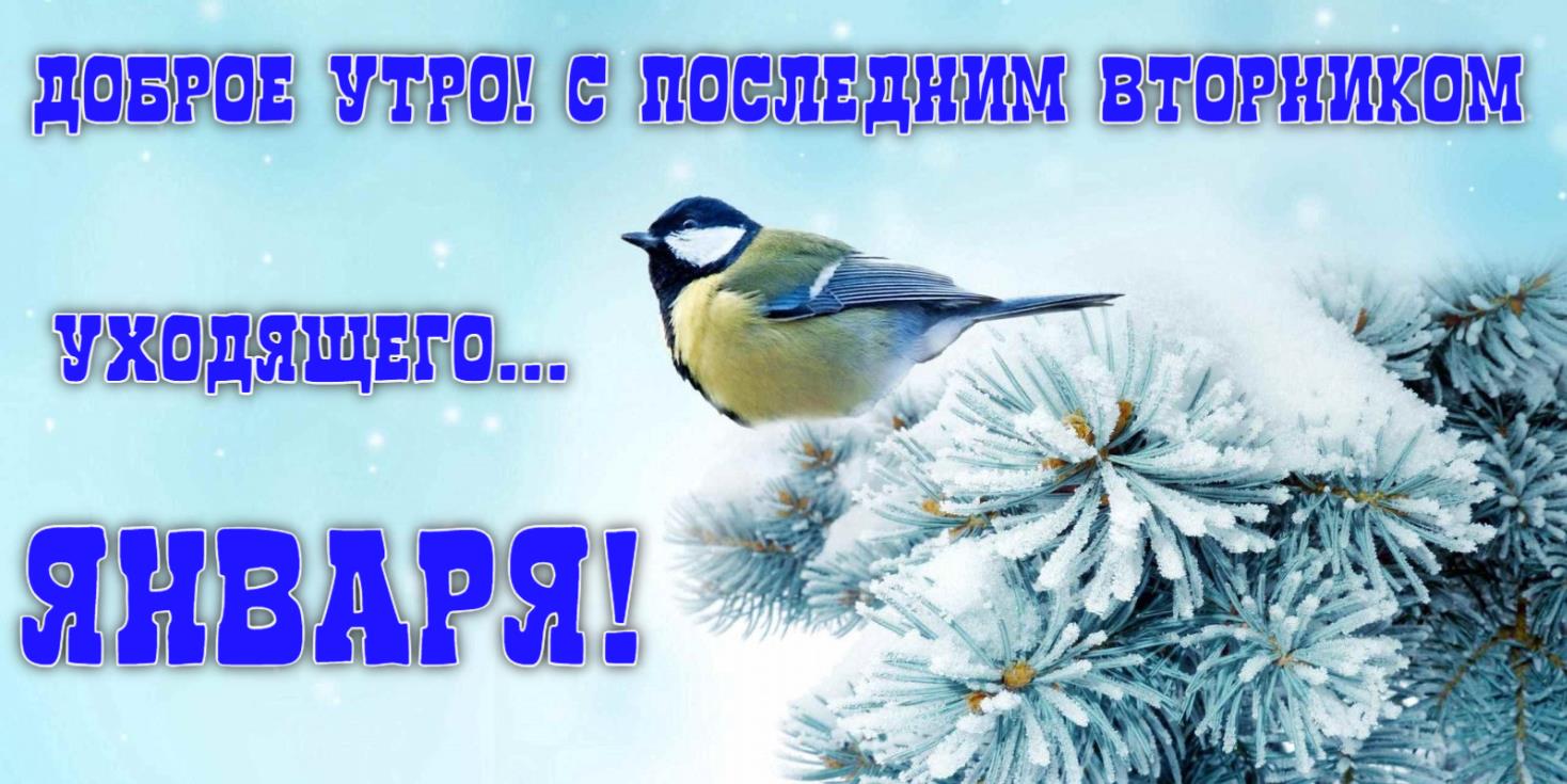 Смотреть на фотохостинг сайте yapx.ruКрасивые картинки для пожеланием доброго утра в последний Вторник уходящего Января.