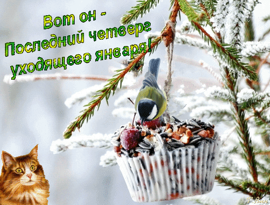 Смешная мерцающая gif картинка с котом - вот он последний четверг уходящего января.