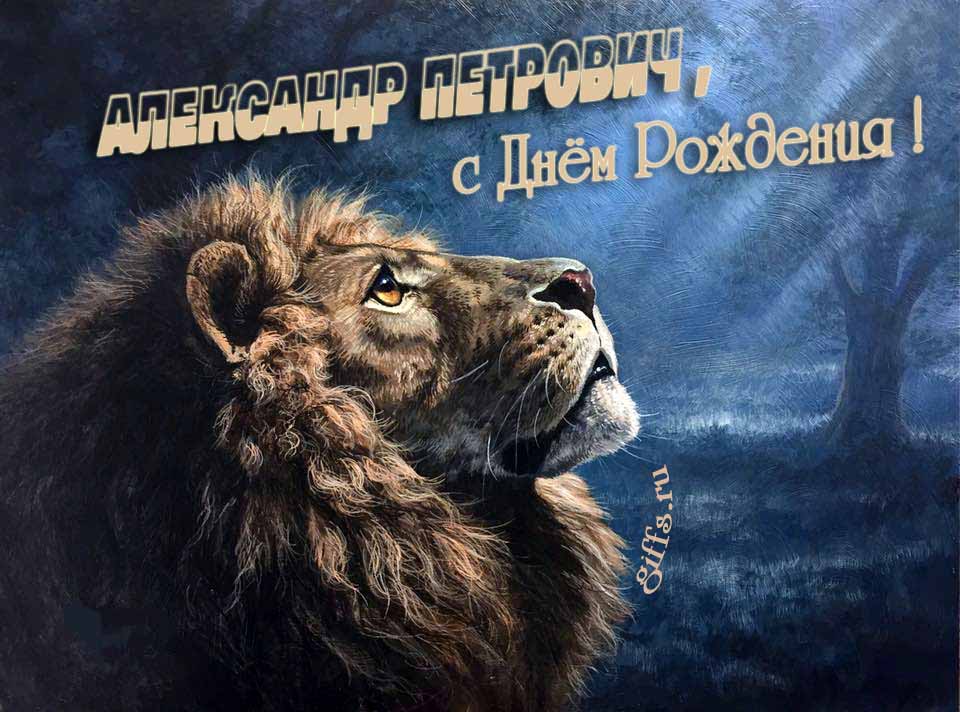 Крутая открытка со львом смотрящим на лунный свет и текстом " Александр Петрович, с днём рождения!".