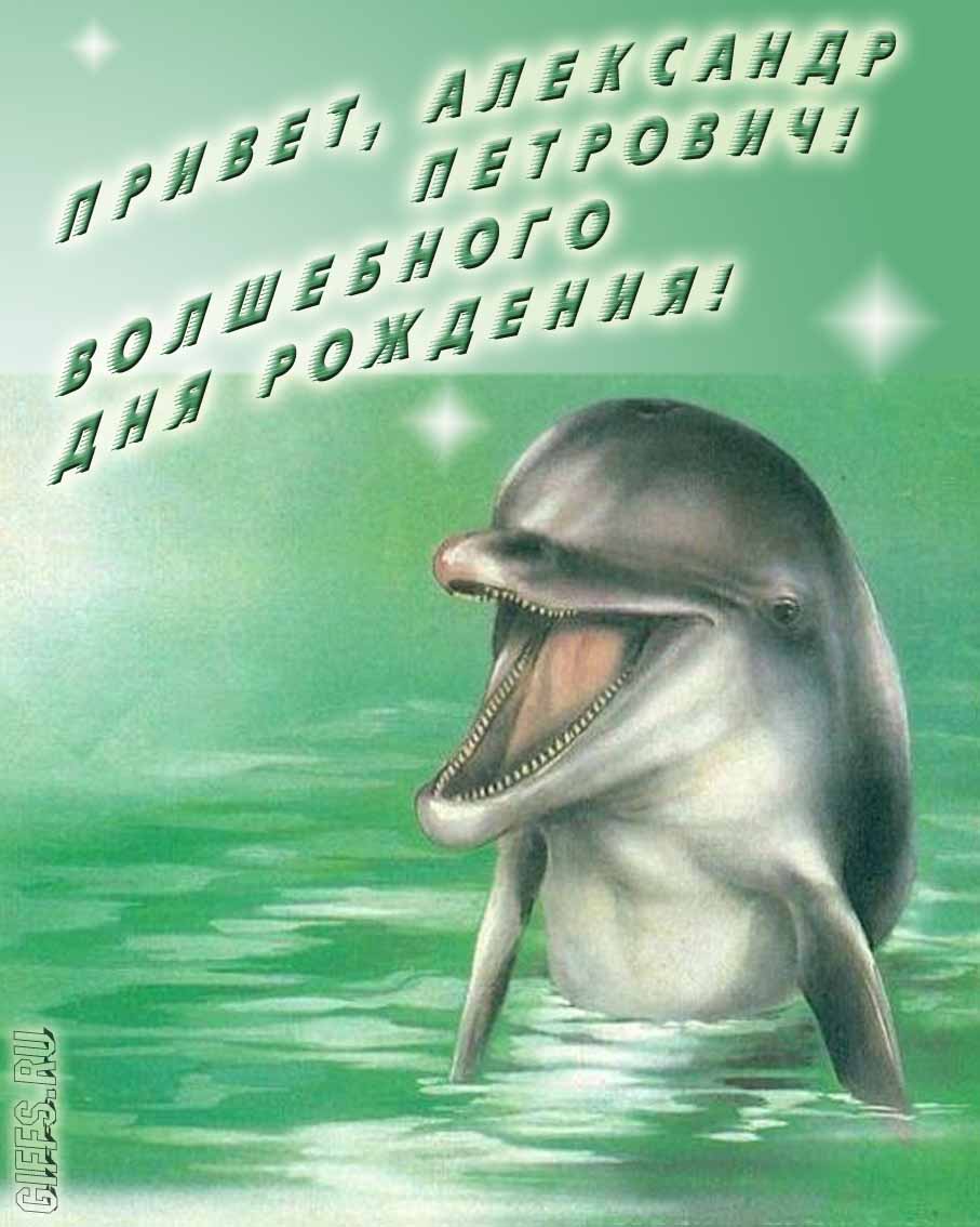 Прикольная картинка с дельфином "Привет, Александр Петрович! Волшебного дня рождения!".