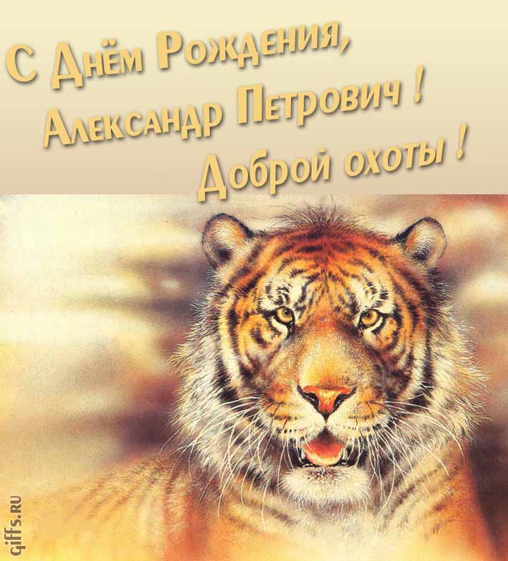 Прикольная картинка с суровым тигром "С днём рождения, Александр Петрович! Доброй тебе охоты!".