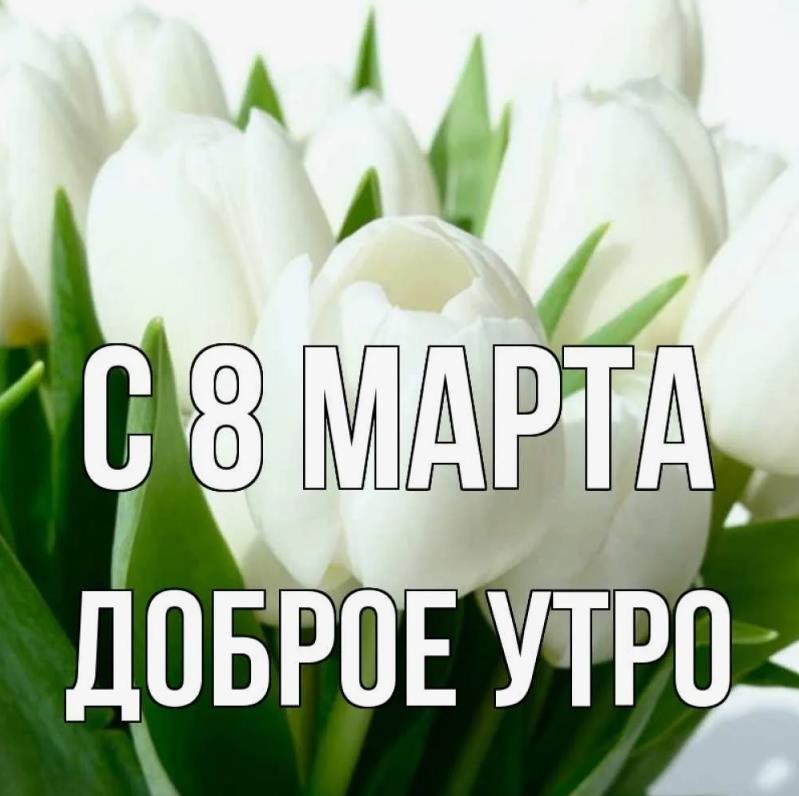 Открытка с былыми тюльпанами и пожеланием доброго утра в международный женский день. Открытка с былыми тюльпанами и пожеланием доброго утра в международный женский день.