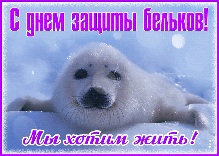 Прикольная зимняя гиф открытка ко дню защиты бельков. Прикольная зимняя гиф открытка ко дню защиты бельков.