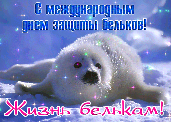 Блестящая и мерцающая gif картинка на всемирный день защиты бельков. Блестящая и мерцающая gif картинка на всемирный день защиты бельков.