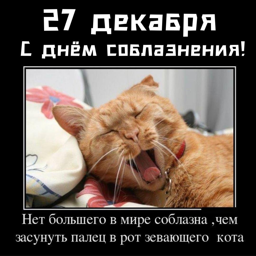 Нет в мире большего соблазна, чем засунуть палец в рот зевающего кота.