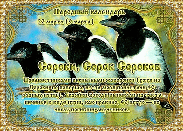 Блестящая гиф открытка с сороками, предвестниками весны, 40 штук по числу погибших мучеников. Блестящая гиф открытка с сороками, предвестниками весны, 40 штук по числу погибших мучеников.