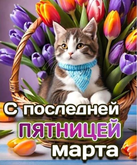 Шикарная картинка с котом и тюльпанами для поздравления с последней пятницей Марта! В 2025 году 28 числа.