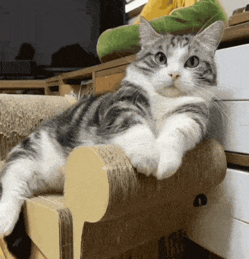 Прикольная gif картинка от котика передающего привет братку. Прикольная gif картинка от котика передающего привет братку.